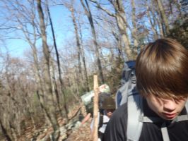 Appalacian Trail November 2011