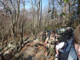 Appalacian Trail November 2011
