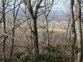 Appalacian Trail November 2011