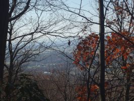 Appalacian Trail November 2011