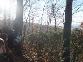 Appalacian Trail November 2011