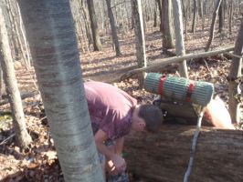 Appalacian Trail November 2011