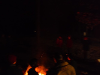 Horseshoe 2014