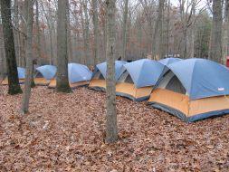 Camp Saffran November 2008