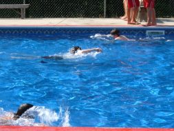 2009 Summer Camp at Hawk Mountain